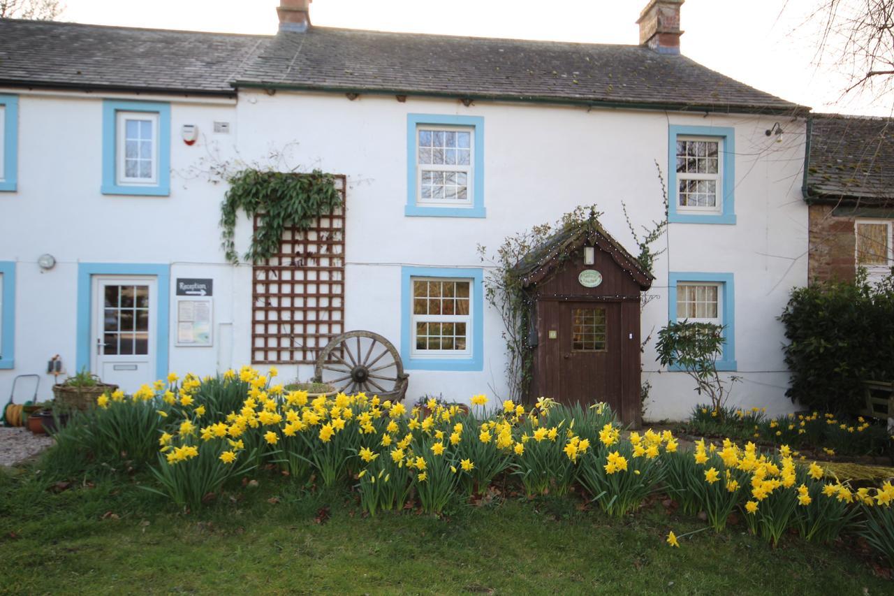 Westward Wallace Lane Farm المظهر الخارجي الصورة
